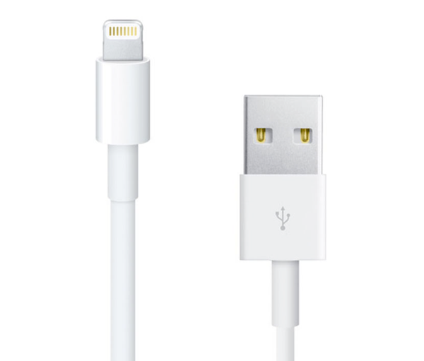 Cable Apple iPhone Sellado caja 5W